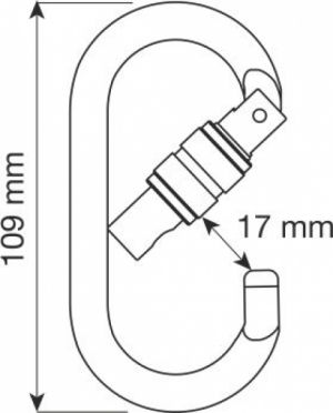 Karabiner OVAL PRO LOCK